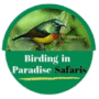 Birding in Paradise logo