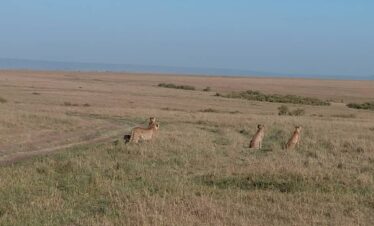 Kenya Adventure Safari