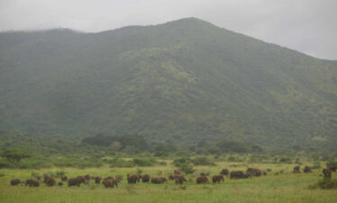 Rwanda Adventure, History & Culture